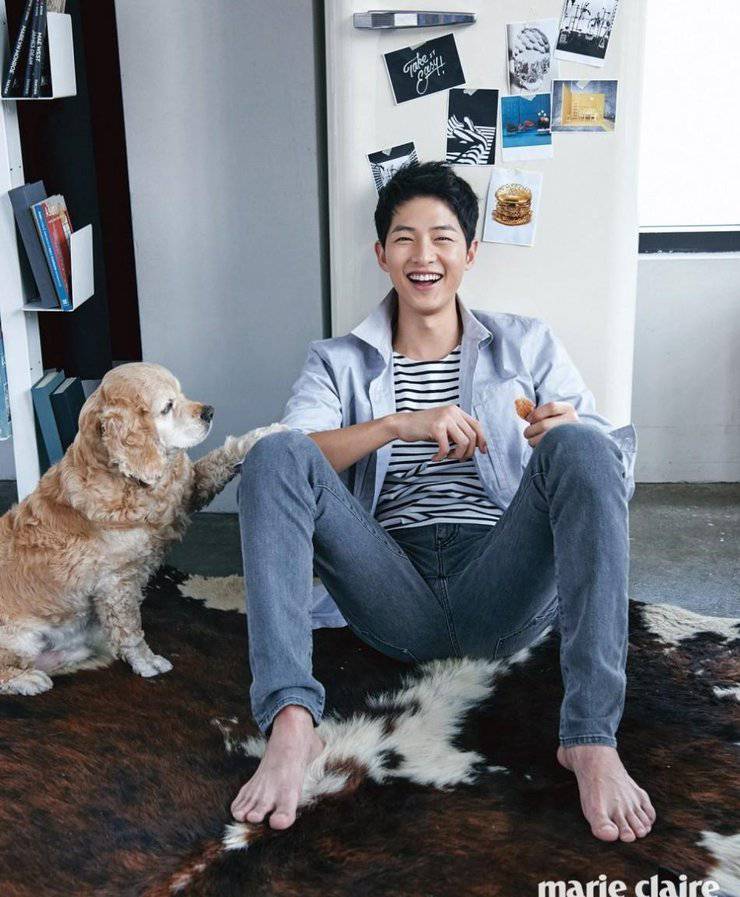 宋仲基最新寫真照曝光 化身愛狗帥氣宅男