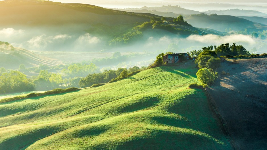 綠色大草原高清圖片欣賞