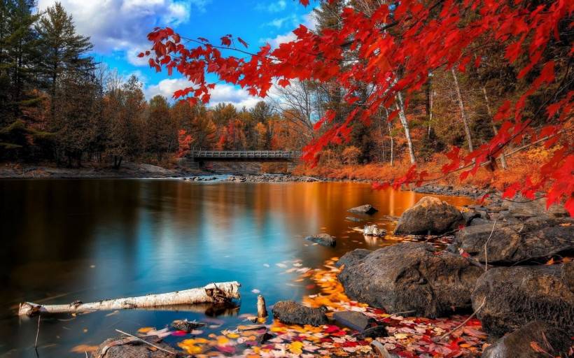 大自然美景桌面壁紙