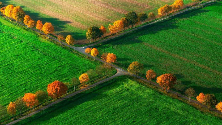 綠色唯美大草原圖片大全
