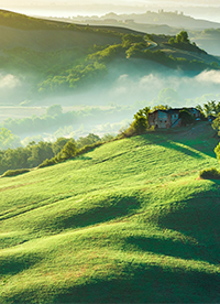 綠色大草原高清圖片欣賞