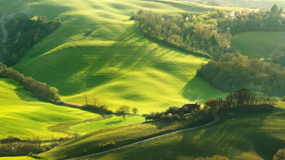 綠色大草原高清圖片欣賞