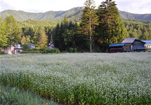 小清新鄉(xiāng)村自然風(fēng)光美景圖片