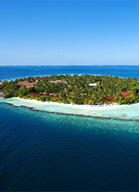 清新大自然背景圖片大全欣賞