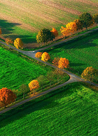 綠色唯美大草原圖片大全