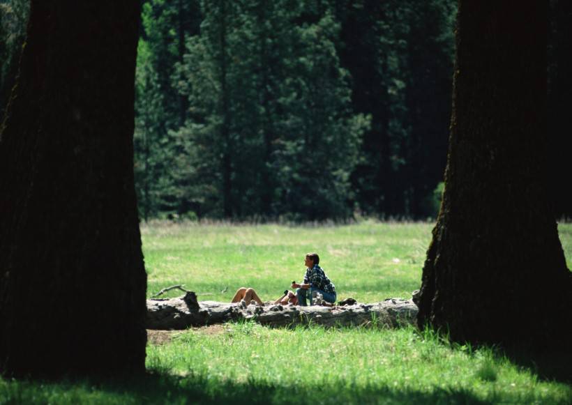 人與綠色大自然圖片