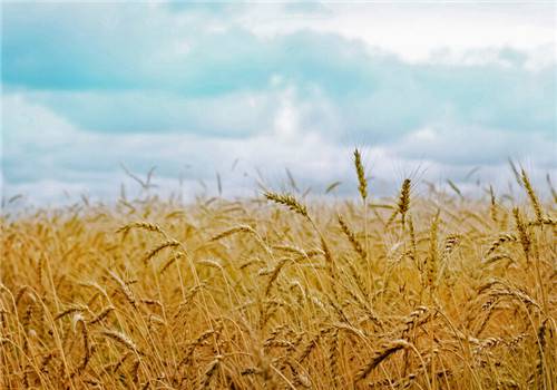 小清新鄉(xiāng)村自然風(fēng)光美景圖片