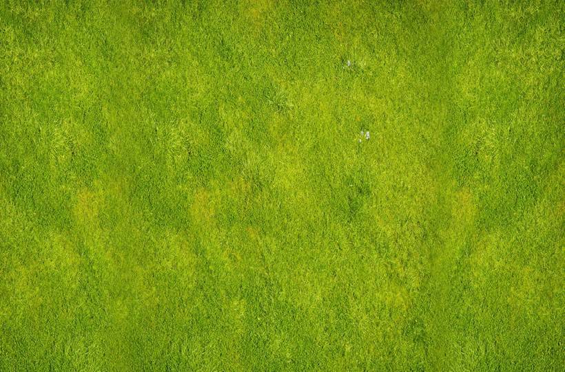 綠色清新大自然圖片