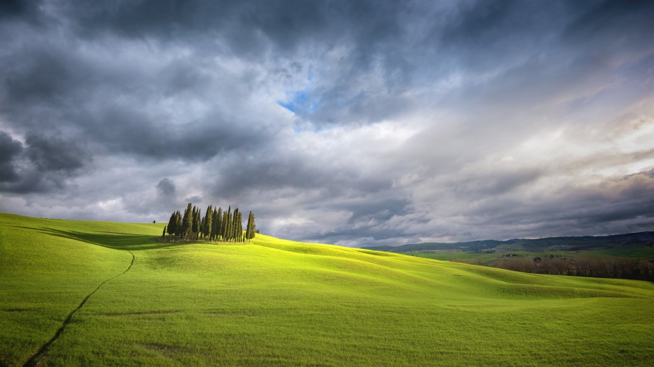 綠色大草原高清圖片欣賞