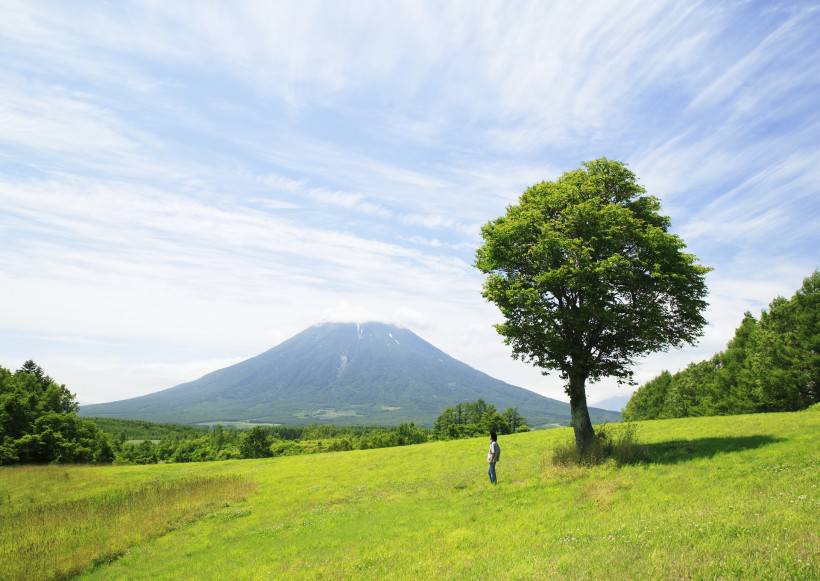人與綠色大自然圖片