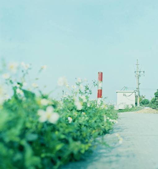 唯美清新小鎮(zhèn)街道風(fēng)景圖片欣賞