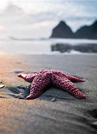 海邊唯美沙灘風(fēng)景高清圖片