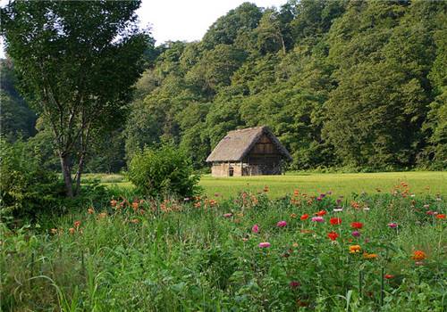 小清新鄉(xiāng)村自然風光美景圖片