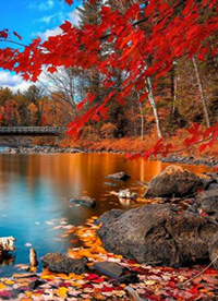 大自然美景桌面壁紙