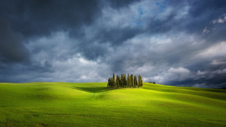 綠色大草原高清圖片欣賞