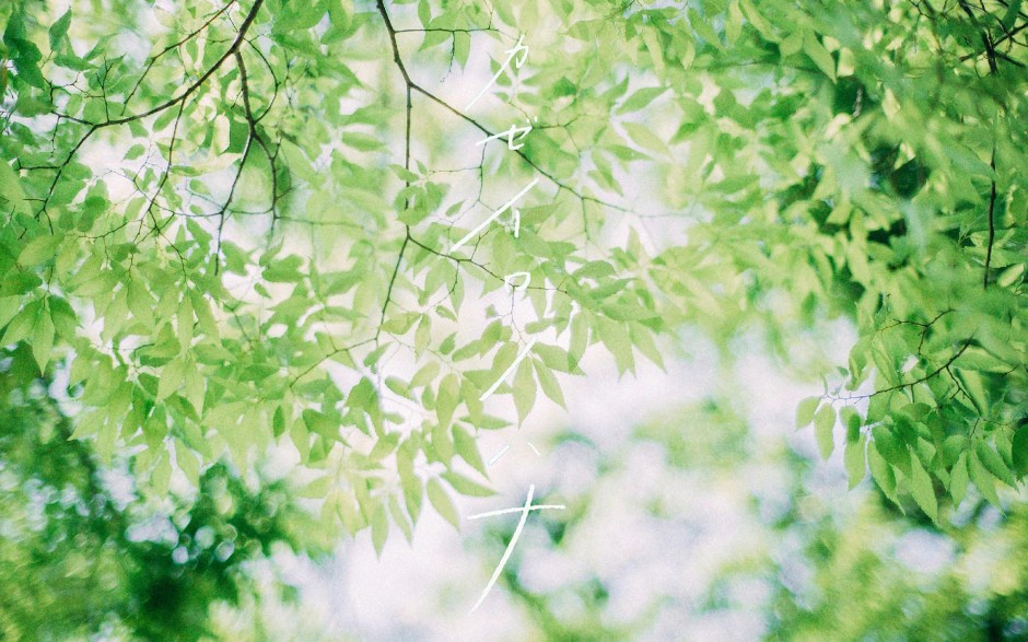 溫暖日系唯美風景圖片欣賞