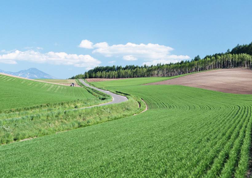 人與綠色大自然圖片