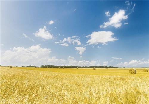 小清新鄉(xiāng)村自然風(fēng)光美景圖片