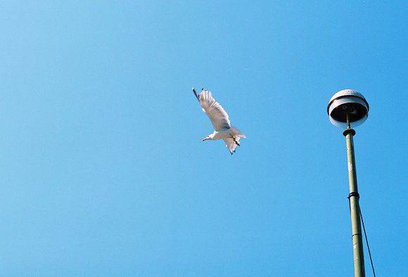 世界各地旅行美景圖片鑒賞