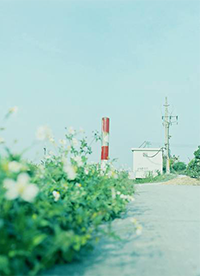 唯美清新小鎮(zhèn)街道風景圖片欣賞