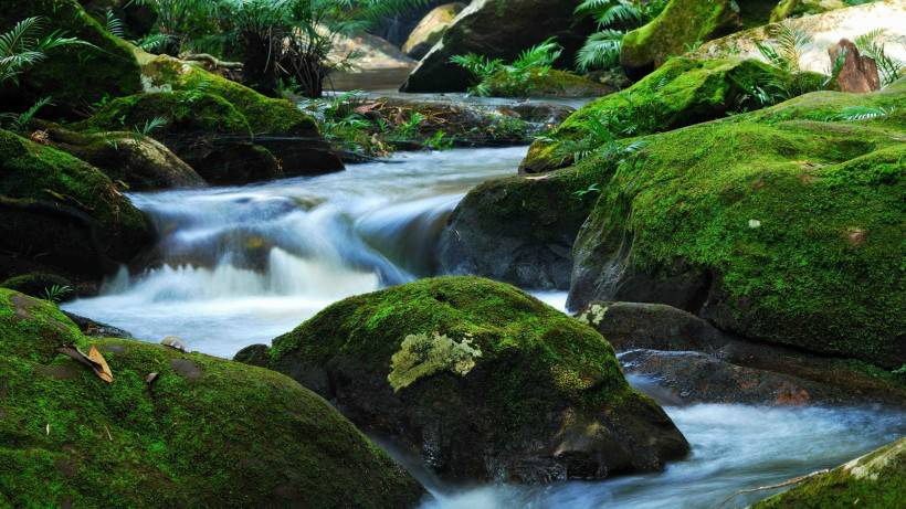 攝影師捕捉的大自然奇觀圖片
