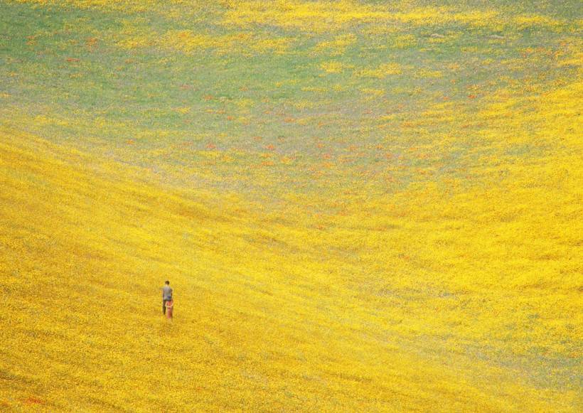 人與綠色大自然圖片