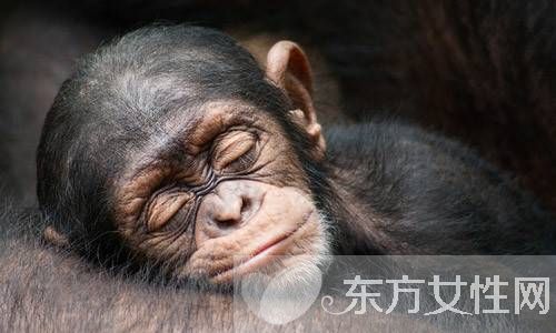 夢見生女孩意味著什么 在周公解夢中這樣描述