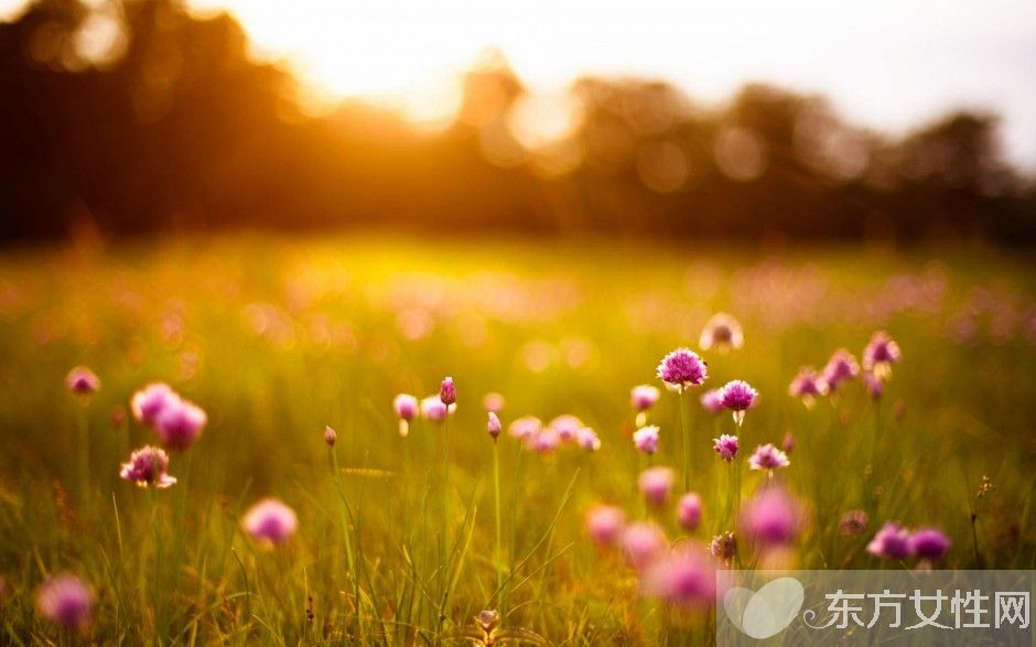 夢見生女孩是什么意思 揭秘6種常見夢境的象征意義