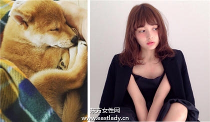 萌犬系發(fā)型增加萌感又能減齡