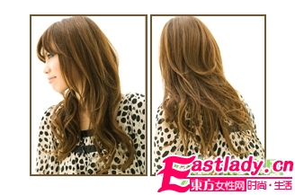 09秋季四款時(shí)尚個(gè)性發(fā)型秀