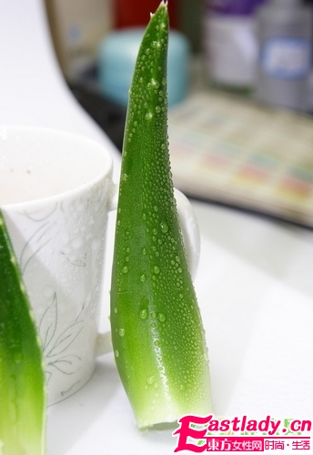 大自然的神奇能量 8種護(hù)發(fā)能量