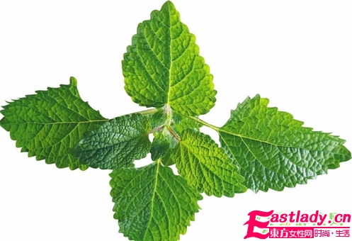 大自然的神奇能量 8種護發(fā)能量