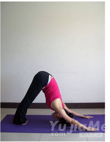 瑜伽拜日十二式詳解 瑜伽初學者必看