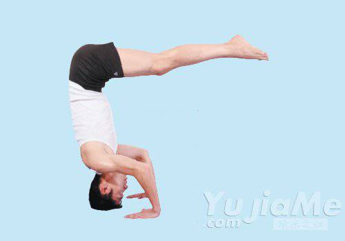 瑜伽初學(xué)者必看 瑜伽體位法的基礎(chǔ)動(dòng)作