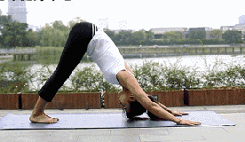 古印度瑜伽入門法 減肥養(yǎng)顏兩不誤