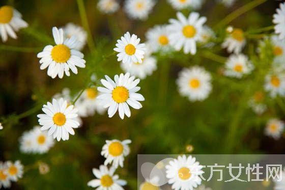 這六款香薰最適合全方位緩解日常壓力