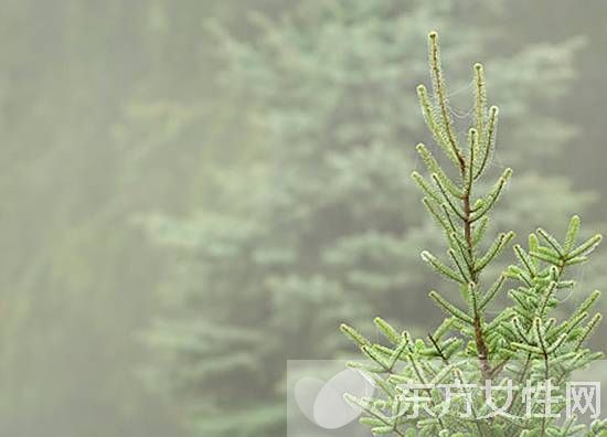 這六款香薰最適合全方位緩解日常壓力