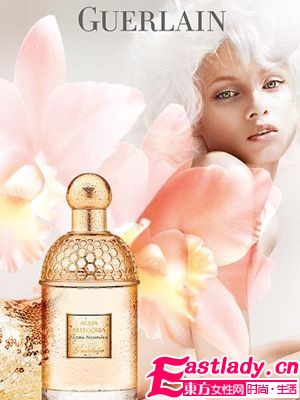 10款清新森林系香氛 營造你心中的森林