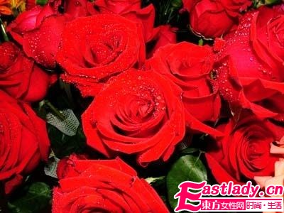 美容圣品玫瑰精油全接觸