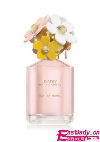 淡淡花香 Marc小雛菊又出新版本
