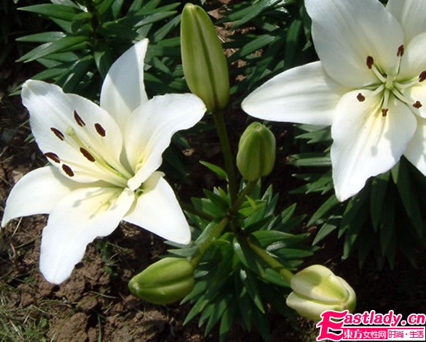 香水使用的18個禁忌