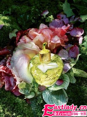 綠野仙蹤 10款格調香氛清新于心