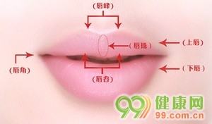 圖 標(biāo)準(zhǔn)漂亮的嘴唇長什么樣