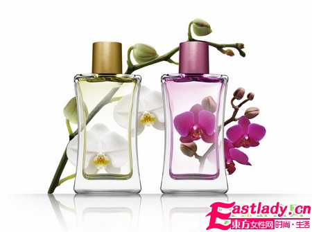 聞香識(shí)女人 不同血型的女人適合的香水