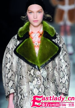 野性的動(dòng)物妝容 不一樣的你