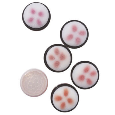 腮紅畫法 變身人見人愛完美臉型