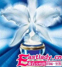 從A到Z 37個(gè)品牌明星產(chǎn)品全掃蕩