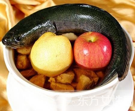 怎么樣去除眼袋 三大食療幫你搞定