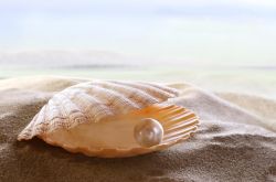 珍珠粉的用法大全 珍珠粉九大美容功效揭秘