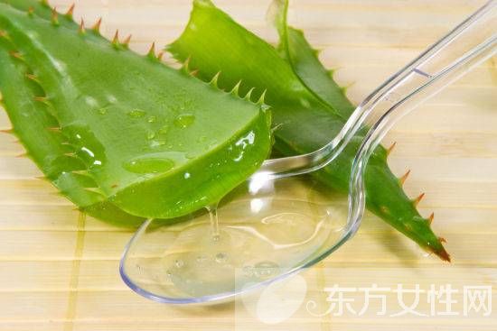 蘆薈如何美容 蘆薈四大美容功效大揭秘